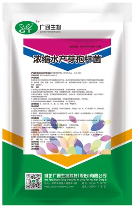 浓缩水产芽孢杆菌