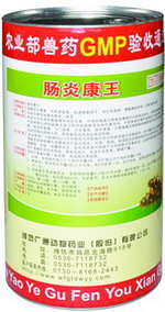 肠炎康王